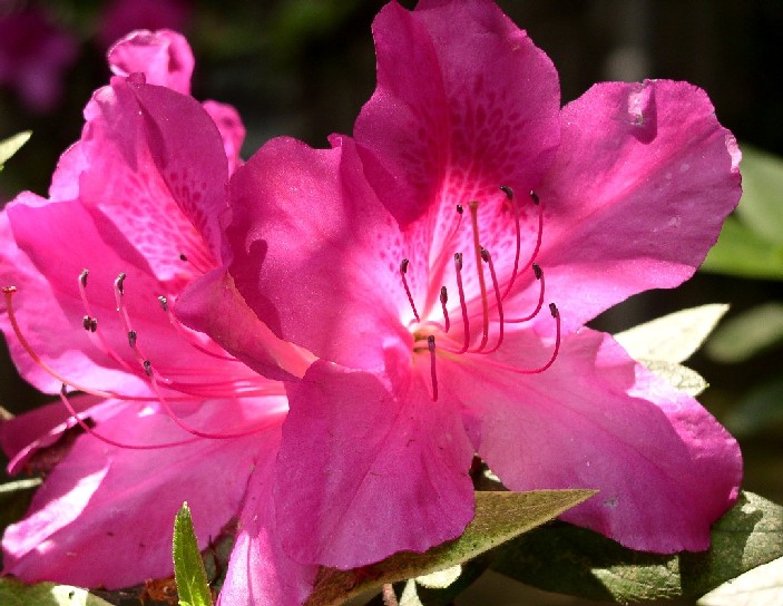 �c�c�W�ᓌ�����Ð_�Ё�