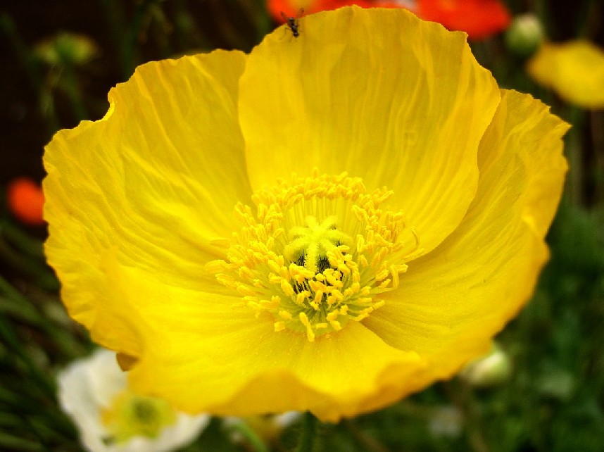 �|�s�[���ב��g����