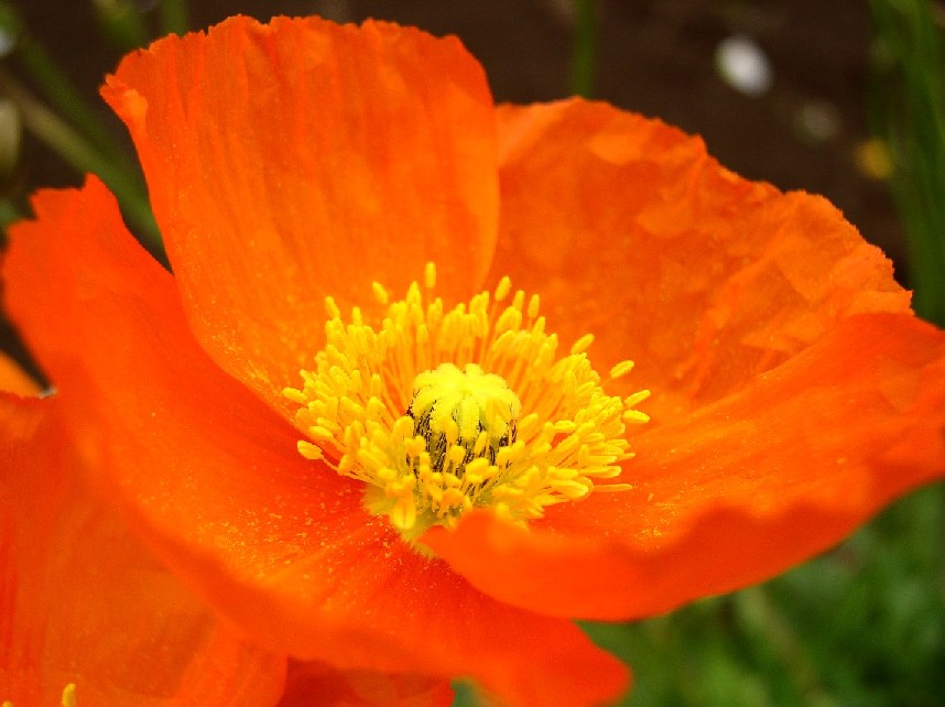 �|�s�[���ב��g����