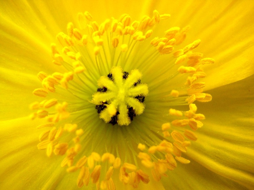 �|�s�[���ב��g����