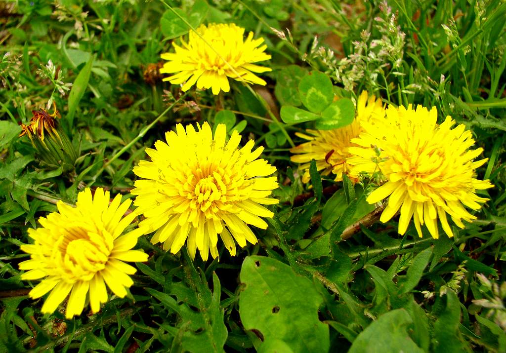 �^���|�|�ᔒ��s�،ˌ�����