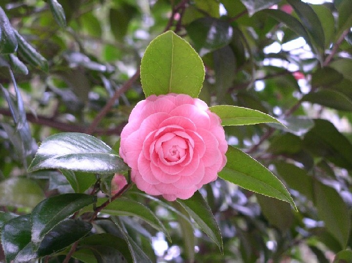 �ց�K�u��b�b��