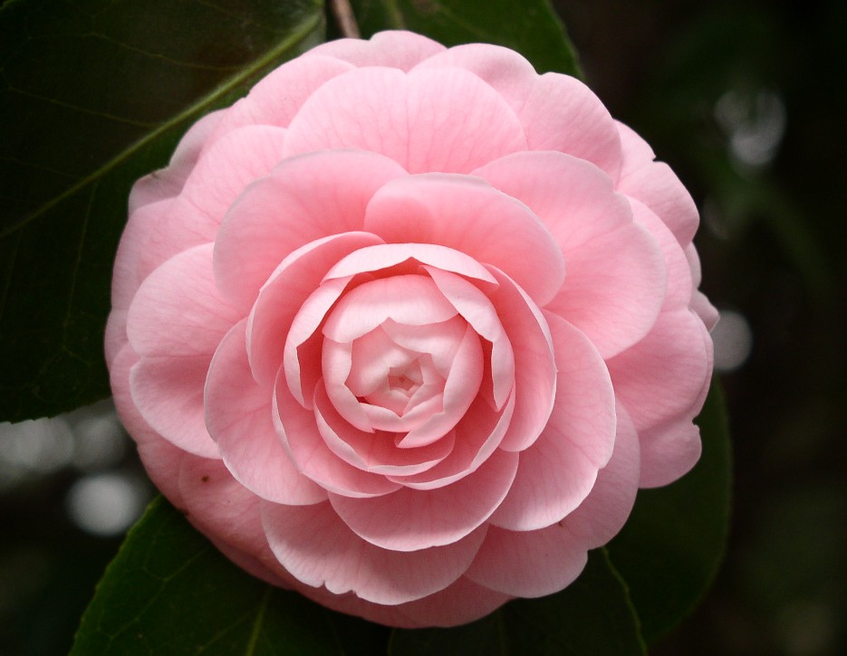 �ց�K�u��b�b��