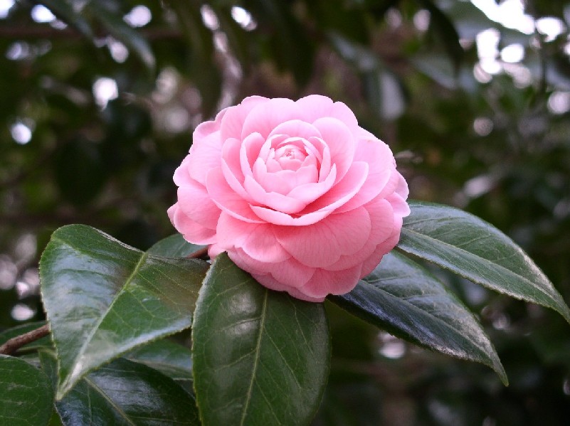 �ց�K�u��b�b��