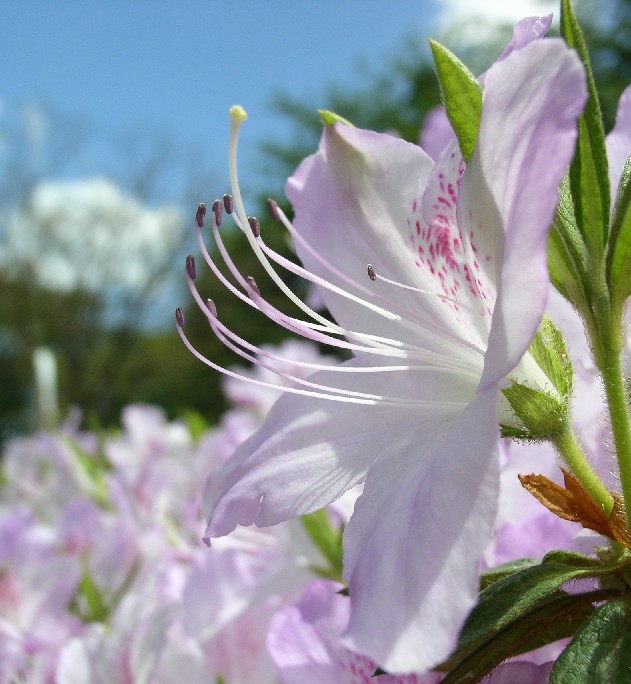 �c�c�W�ᔒ��s�x����