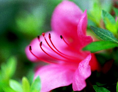 �c�c�W�Ꭹ���