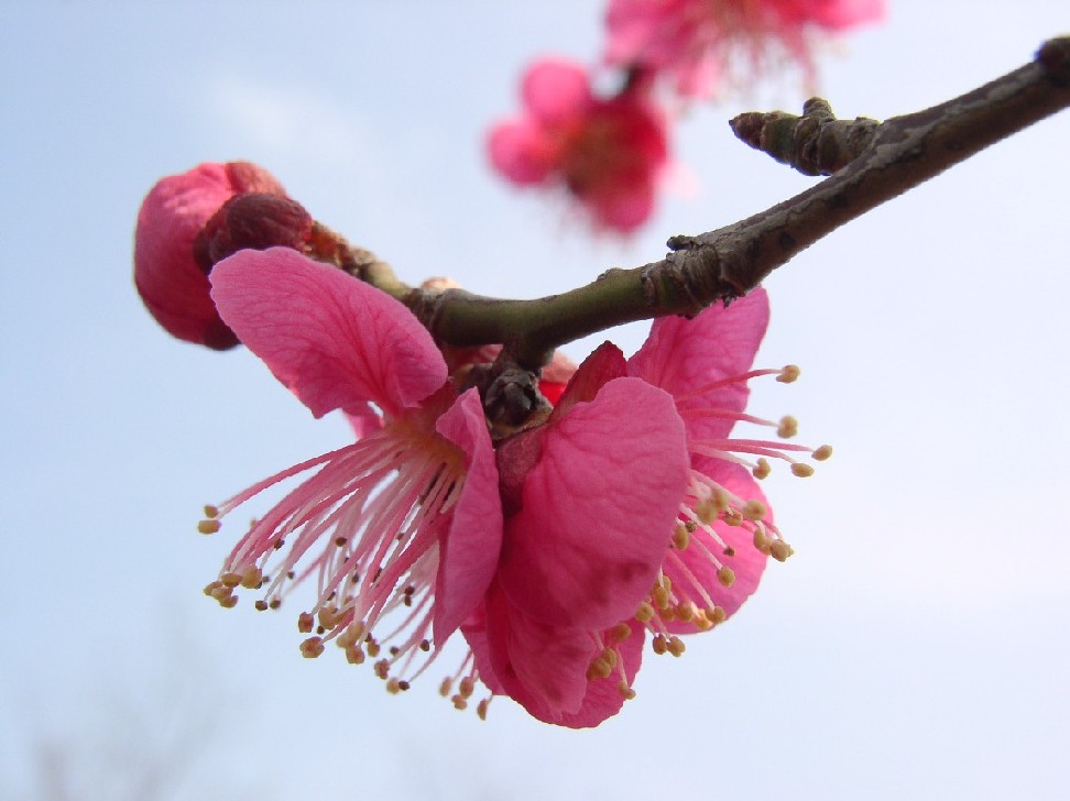 �g�~�ᔒ��s�،ˌ�����