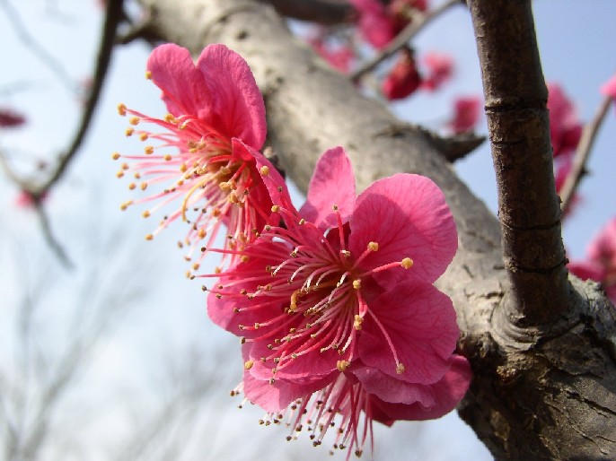 �g�~�ᔒ��s�،ˌ�����