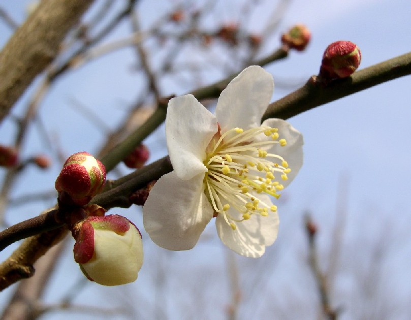 ���~�ᔒ��s�،ˌ�����