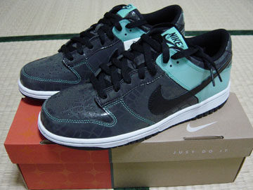 DUNK LOW FtN^[