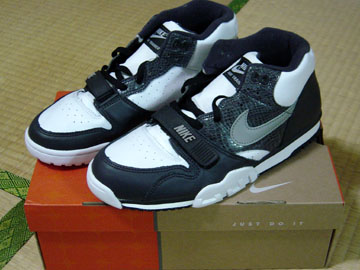 AIR TRAINER 1 pC\