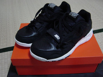 TRAINER DUNK LOW (STUSSY)