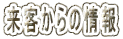 q̏