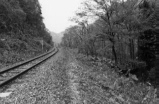 ポイント10（旧引き上げ線終端、及び新旧線分岐点付近）