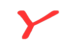 Y 
