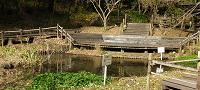 谷戸山公園の池