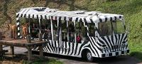 日野市にある多摩動物公園のライオンバス