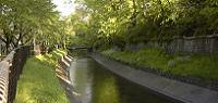 三鷹市の玉川上水は緑と水のライン