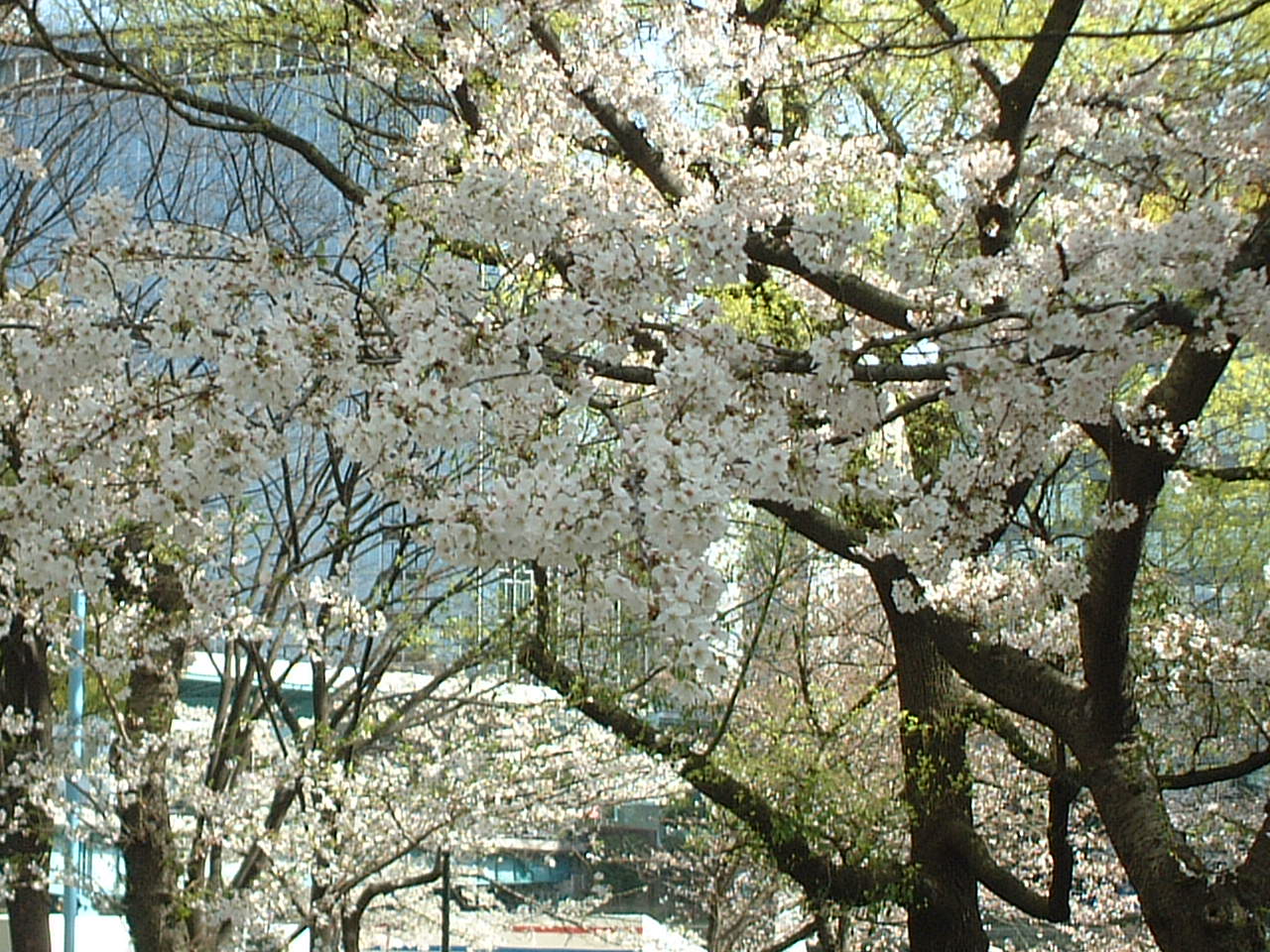 tenmabashi0029.jpg