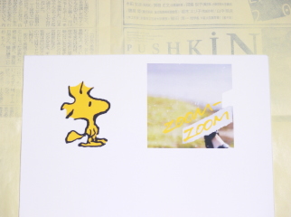 xV[g