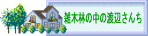雑木林の中の渡辺さんち
