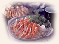 �J�j�t���R�[�X