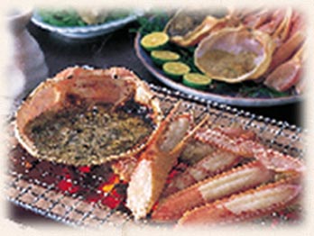 �J�j����