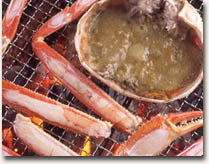 �J�j�X�L�R�[�X