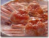 �J�j�t���R�[�X