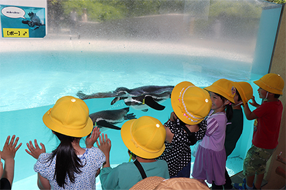 水族館での様子