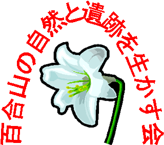 百合 山は見上げれば色とりどりのパラグライダーが乱舞するスカイスポーツの基地であり 見下ろせば一目十万本の桃源郷と母なる川紀の川の流れと共に市内を一望できる絶景の場所です