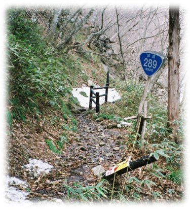 国道289号甲子峠