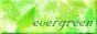 evergreen�l��