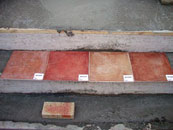 �K�i�^�C�����{