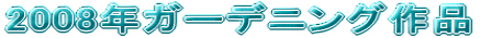 2008NK[fjOi