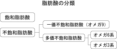 脂肪酸の分類