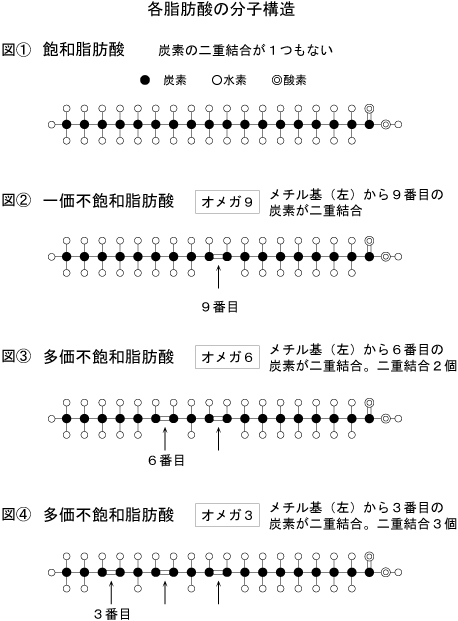 各脂肪酸の分子構造