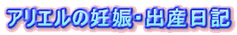 AG̔DPEoYL