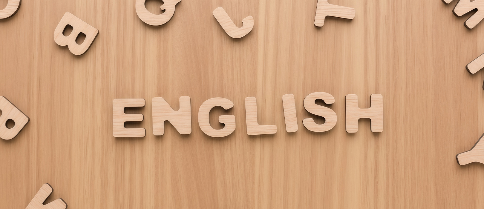 選ばれる3つの理由